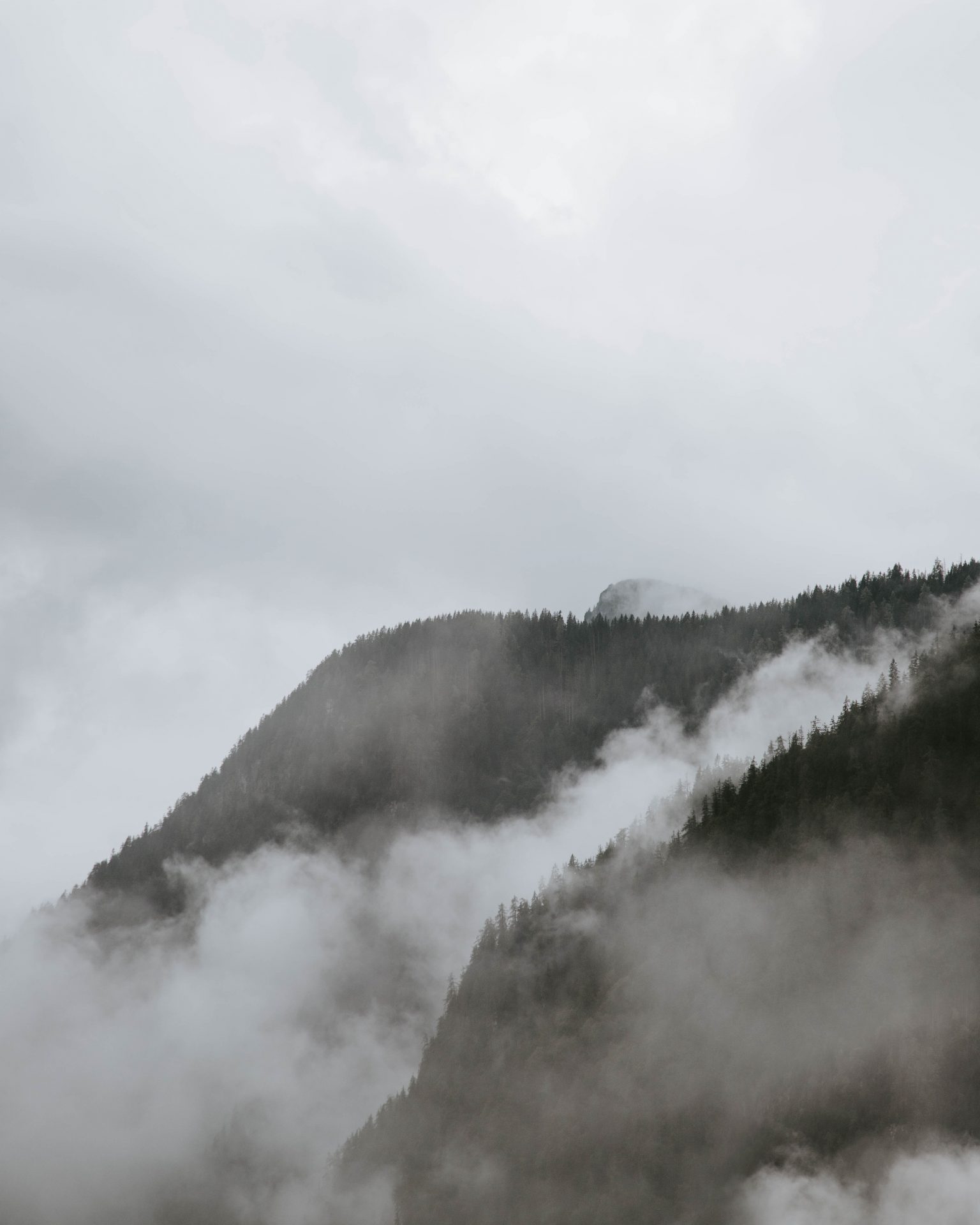 Aesthetics Similar To Cottagecore (Full List) | Cottagecore Girl